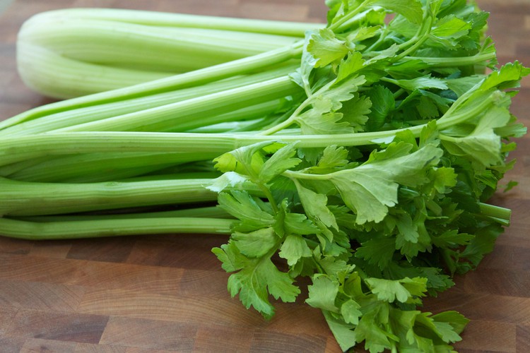 Celery