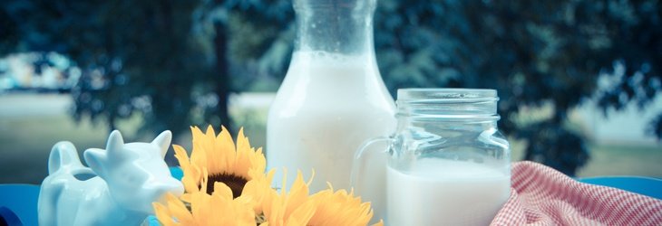 Homemade Almond Milk Using a Juicer