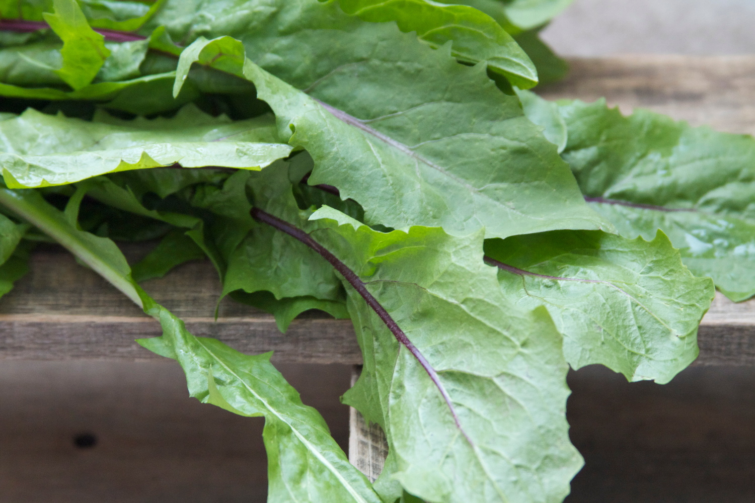 Dandelion Leaves Juice Recipe